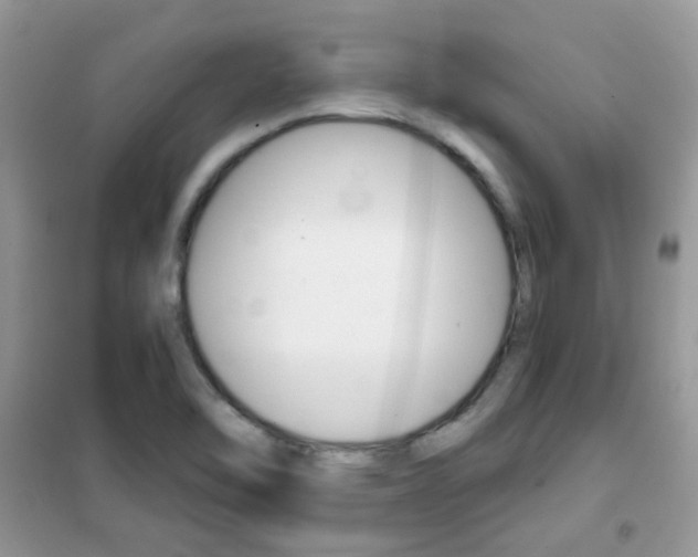 X0000102341462200808010901