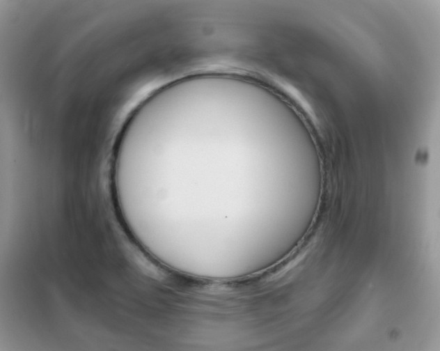 X0000102341463200808010901