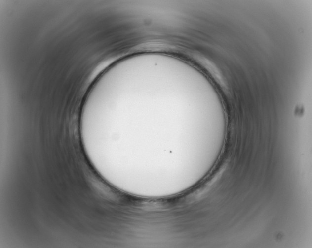 X0000102341465200808010901