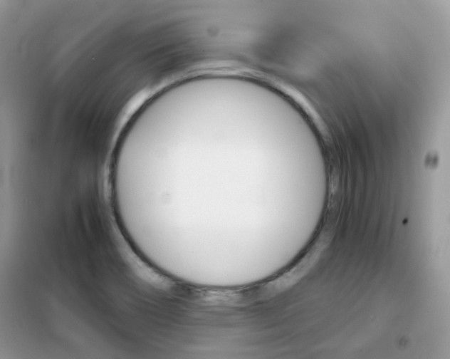 X0000102341466200808010901