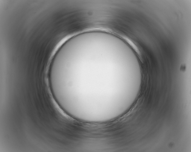 X0000102341468200808010901