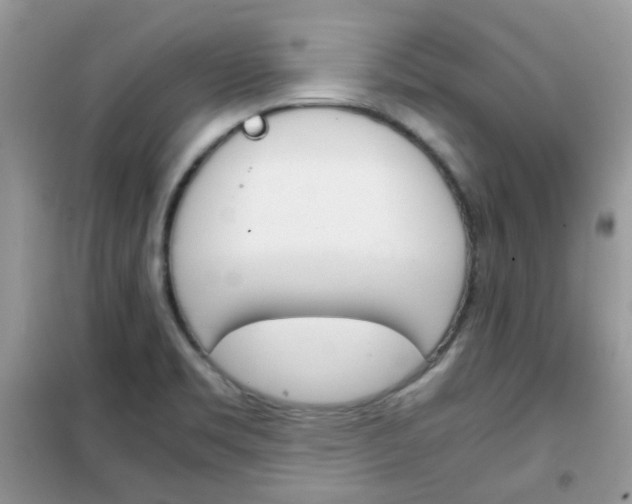 X0000102341469200808010901