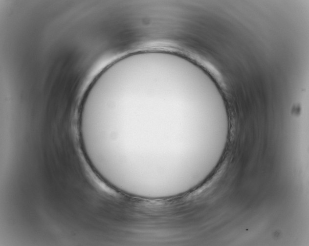 X0000102341470200808010901