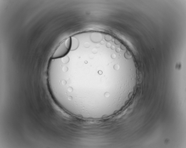 X0000102341471200808010901