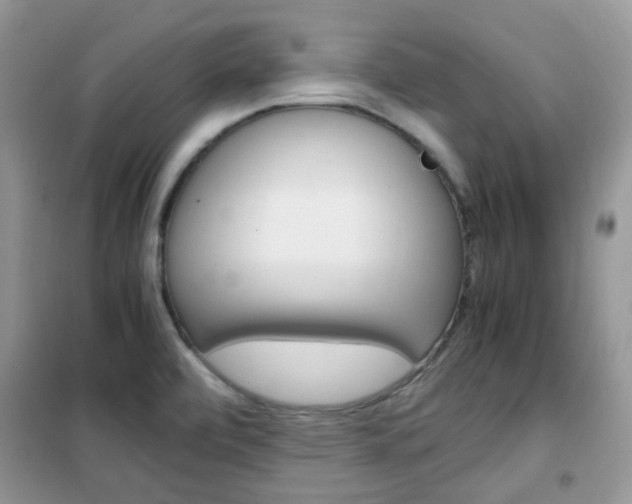 X0000102341472200808010901