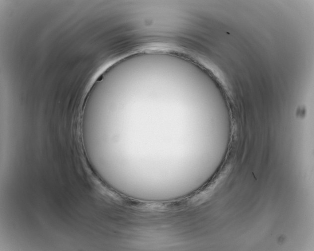 X0000102341473200808010901