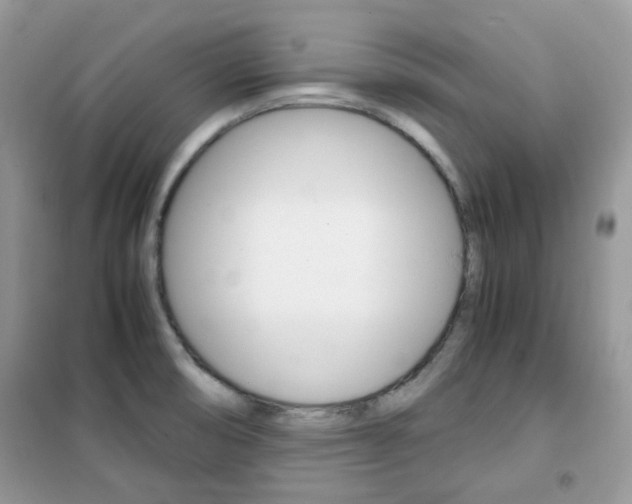 X0000102341474200808010901