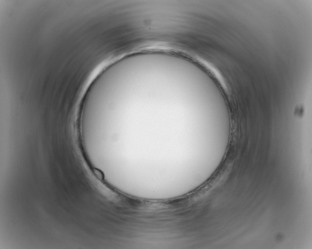 X0000102341475200808010901