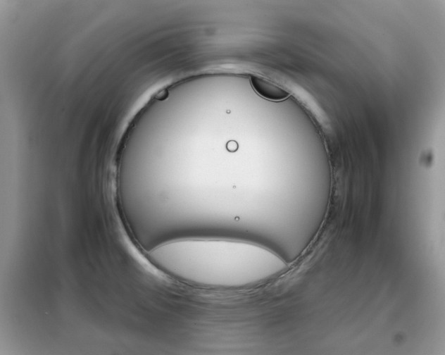 X0000102341476200808010901