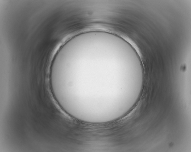 X0000102341477200808010901