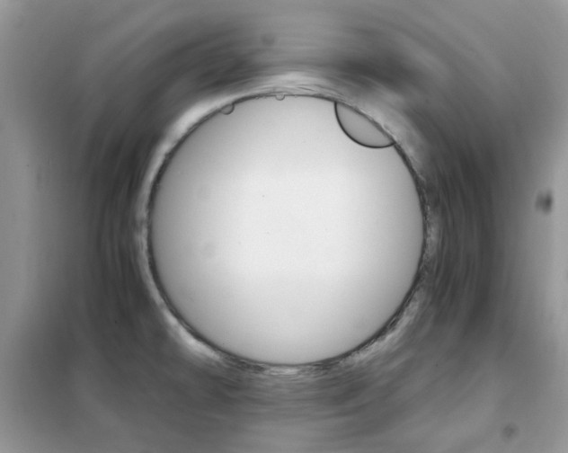X0000102341478200808010901