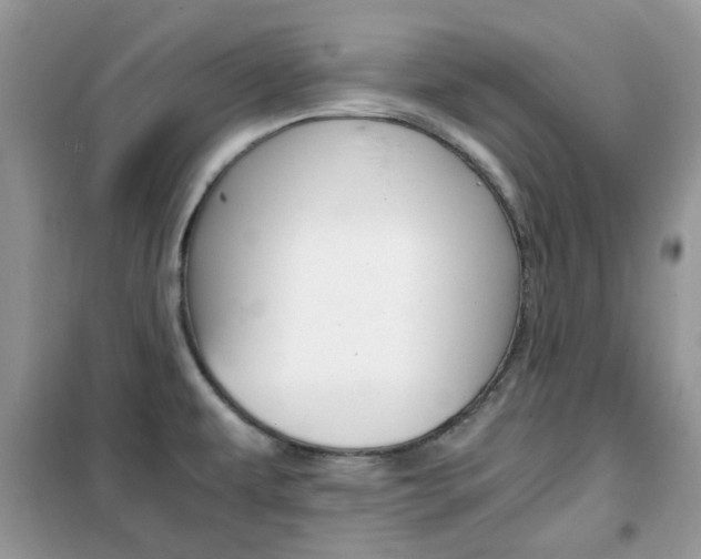 X0000102341479200808010901
