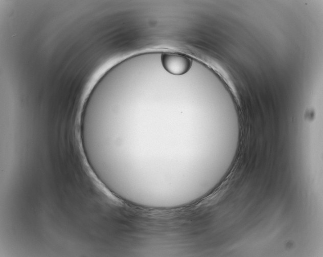 X0000102341480200808010901
