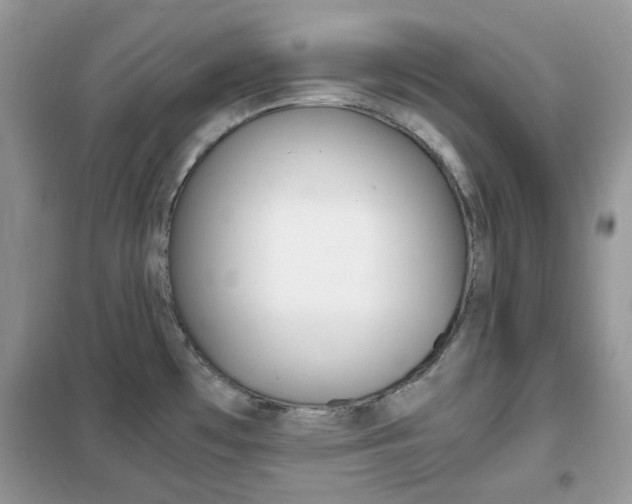 X0000102341481200808010901
