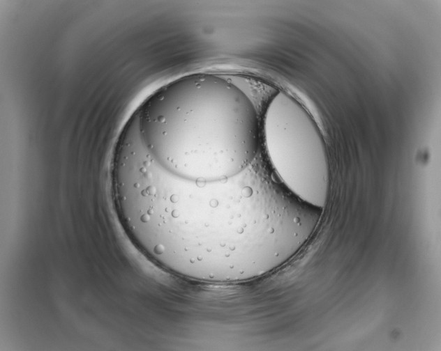 X0000102341483200808010901
