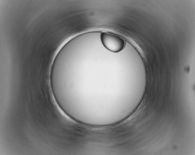 X0000102341484200808010901