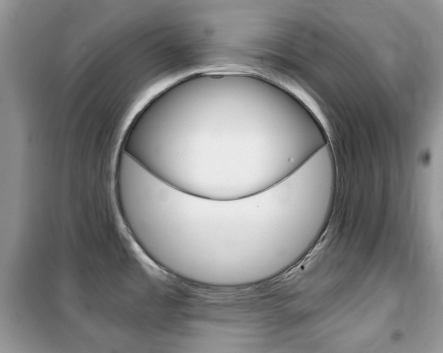 X0000102341485200808010901