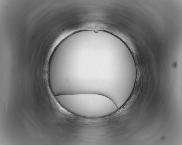 X0000102341486200808010901