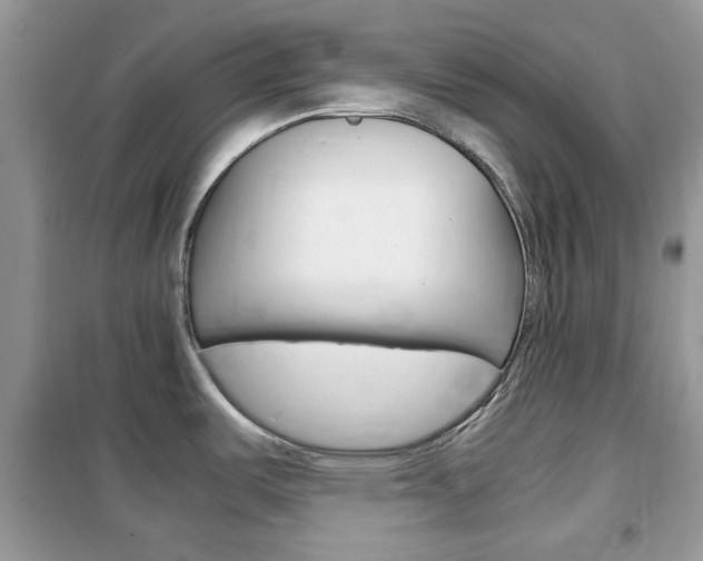 X0000102341487200808010901
