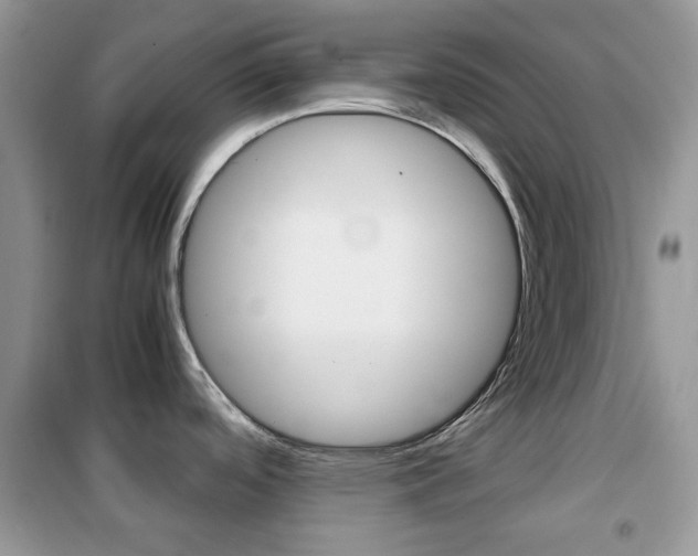 X0000102341488200808010901