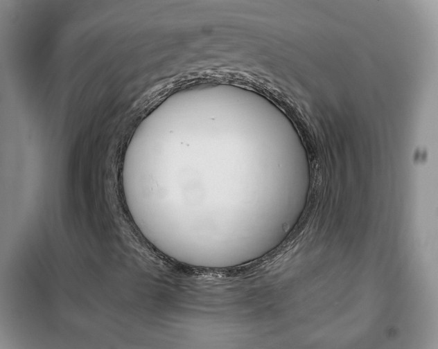 X0000102341489200808010900