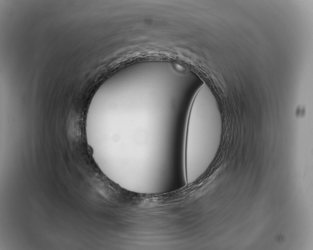 X0000102341490200808010900