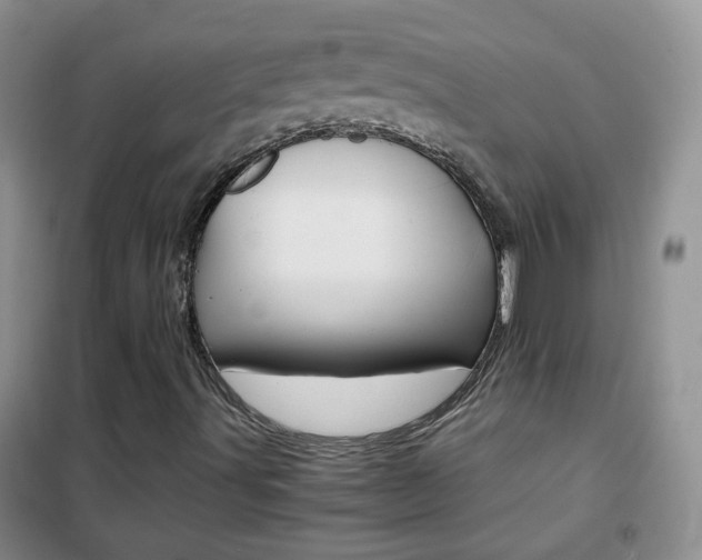 X0000102341491200808010900