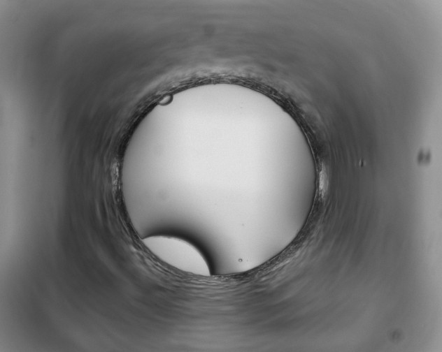 X0000102341492200808010900