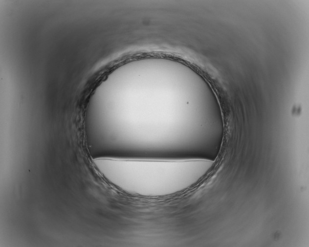 X0000102341494200808010900