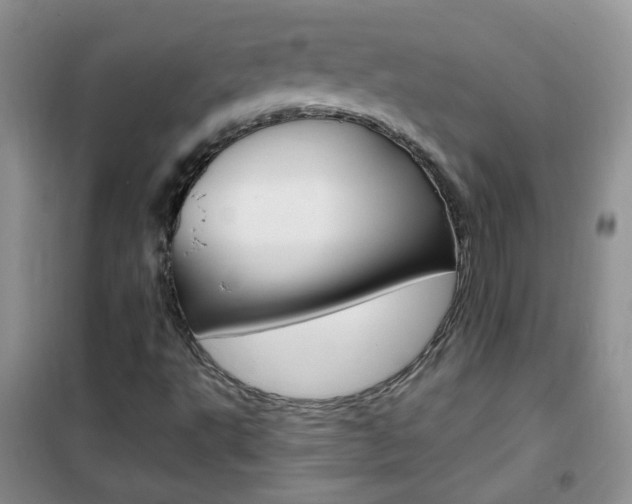 X0000102341495200808010900