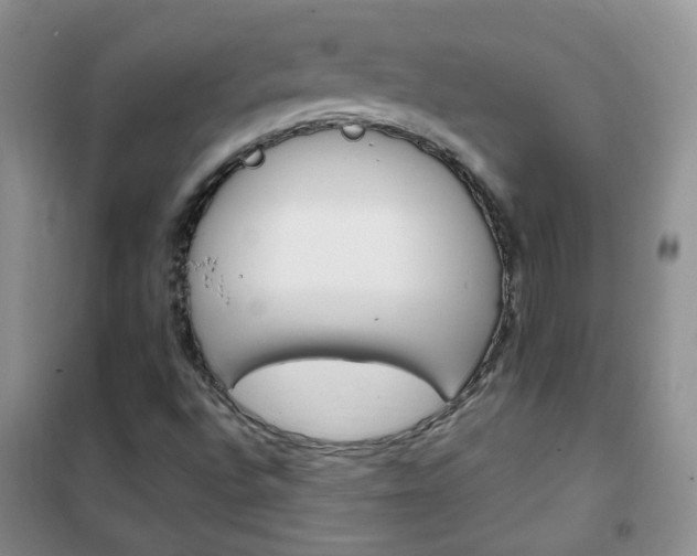 X0000102341496200808010900