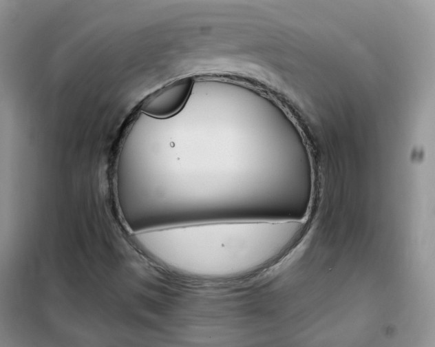 X0000102341497200808010900