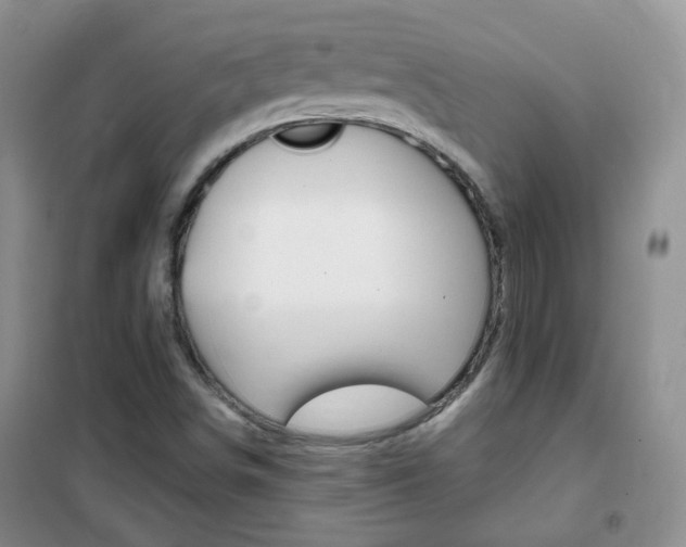 X0000102341498200808010900