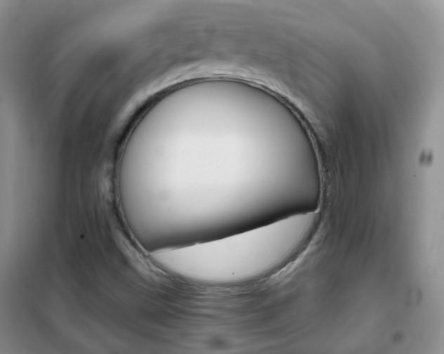 X0000102341499200808010900