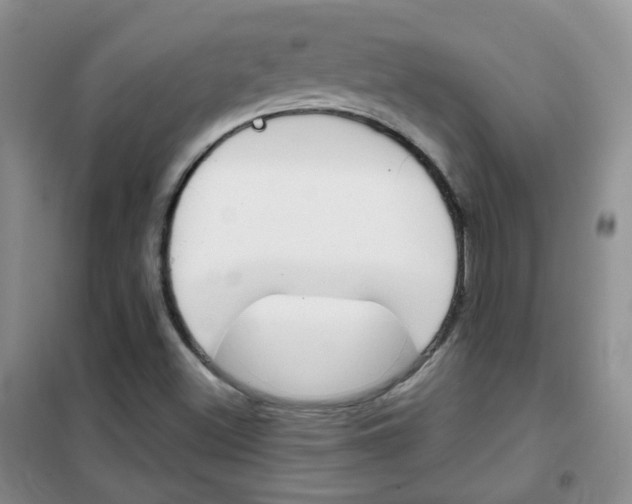 X0000102341500200808010900
