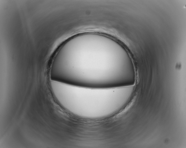 X0000102341501200808010900