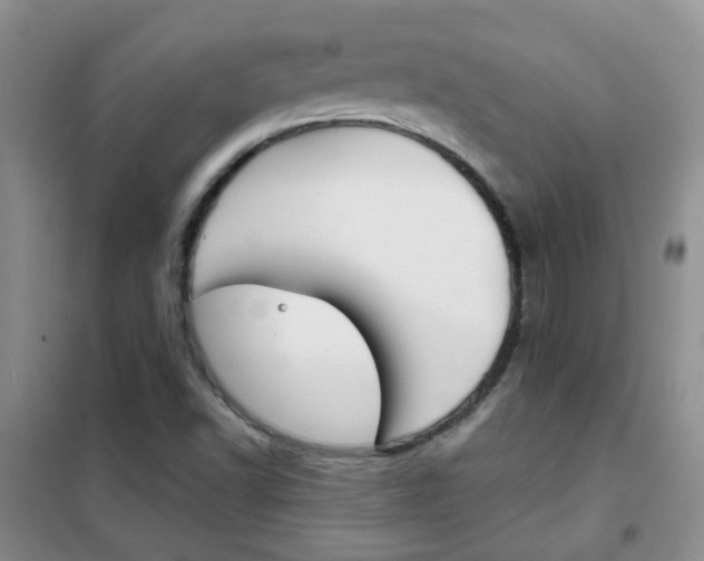 X0000102341502200808010900