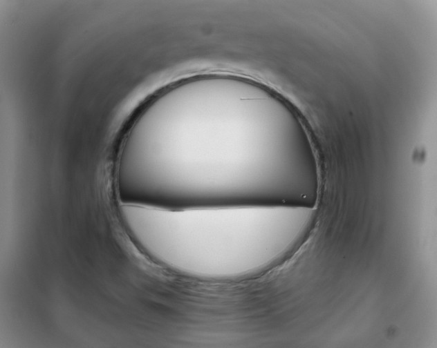 X0000102341503200808010900
