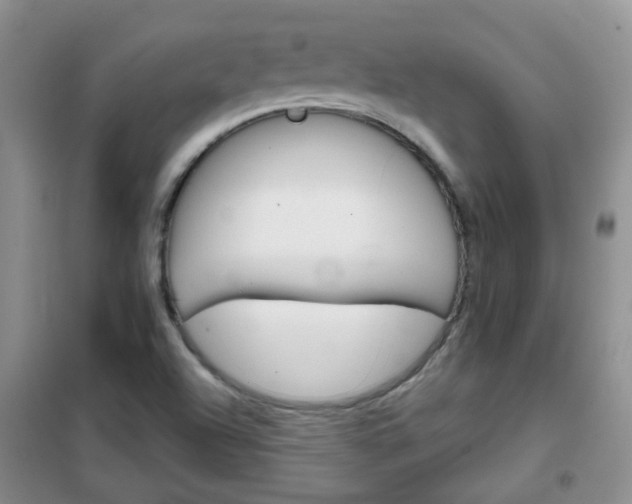 X0000102341504200808010900