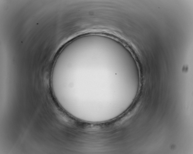 X0000102341505200808010900