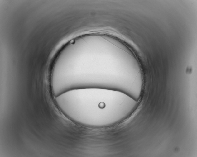 X0000102341506200808010900