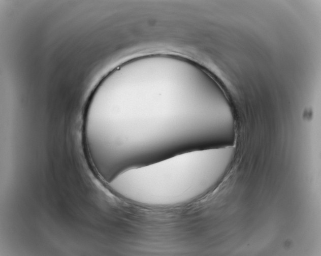 X0000102341508200808010900