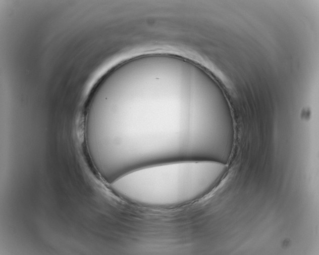 X0000102341510200808010900