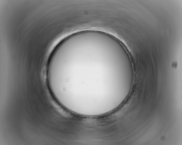 X0000102341511200808010900