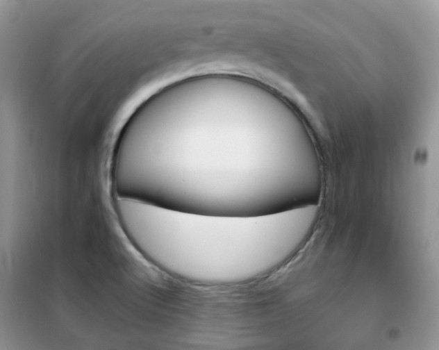 X0000102341512200808010900