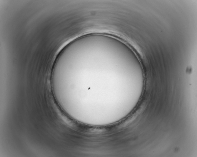 X0000102341513200808010900