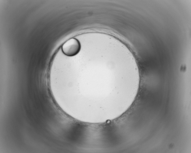 X0000102341514200808010900