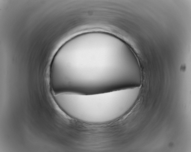 X0000102341516200808010900