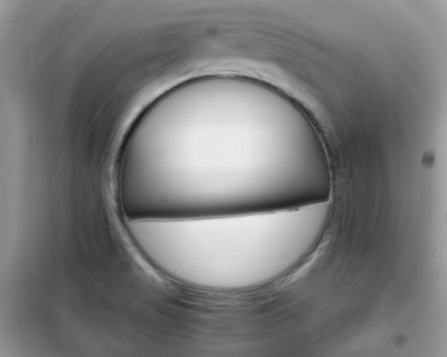 X0000102341517200808010900