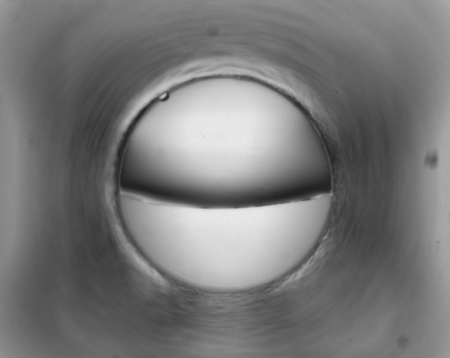 X0000102341518200808010900